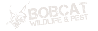 Bobcat Wildlife & Pest Management Logo
