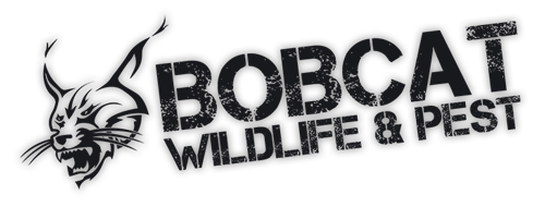 logo-new