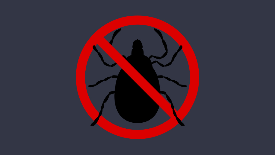 No Bugs Sign