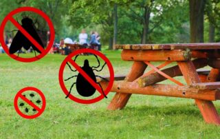 Summer Pest Control