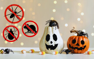 Halloween Pest Control