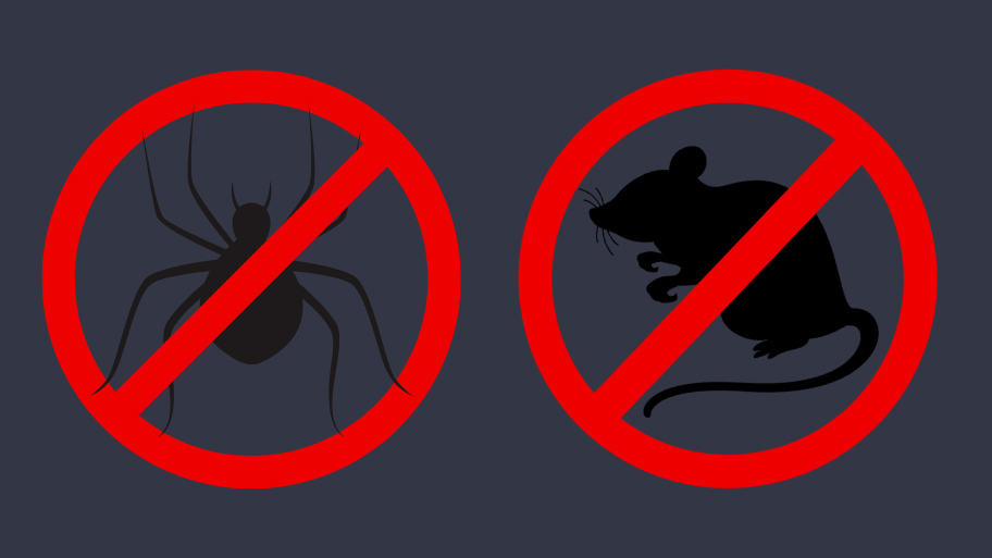 Pest Control Service in Panora, IA Pest Control Service in Panora, IA
